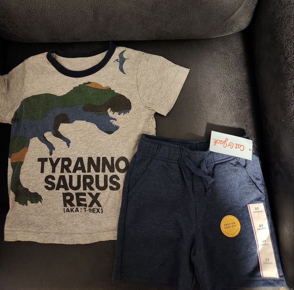 Gray Dinosaur T-Shirt and Blue Shorts Set